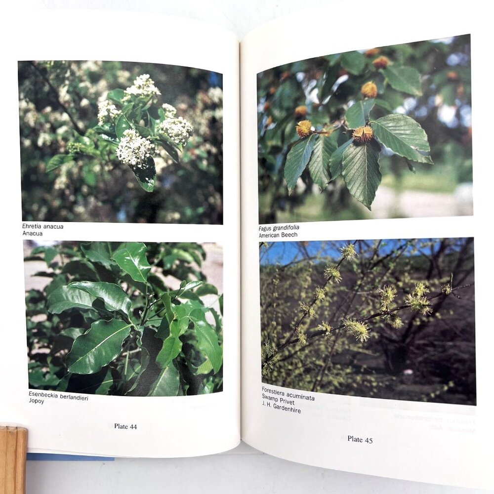 A Field Guide To Texas Trees By Benny J. Simpson Hardcover 1988 Signed by Author - Picture 10 of 16